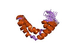 PDB 1sn6 EBI.jpg