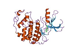 PDB 2bhe EBI.jpg