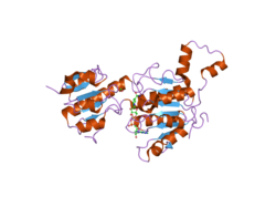 PDB 2hu2 EBI.png