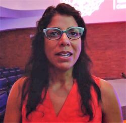 Raissa D'Souza at Conference on Complex Systems 2017.jpg