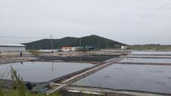 Salt evaporation fields in Sinan, Jeollanam-do, South Korea(1).jpg