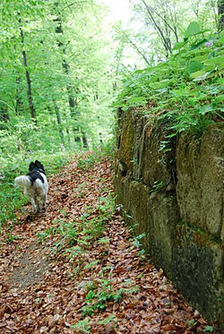 Sarmizegetusa Regia Wall 1.jpg