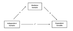 Simple Mediation Model.png