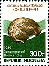 Stamp of Indonesia - 1989 - Colnect 256587 - Skull of “Sambungmacan 1”.jpeg