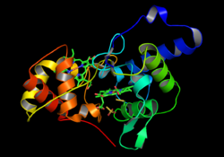 Thiosulfate Dehydrogenase Structure.png