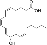 12-Hydroxyeicosatetraenoic acid.png