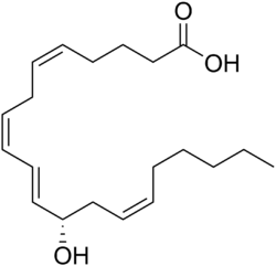12-Hydroxyeicosatetraenoic acid.png