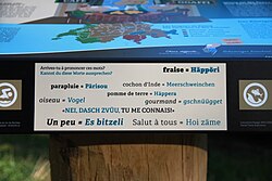 Bilinguisme à Fribourg 01.jpg