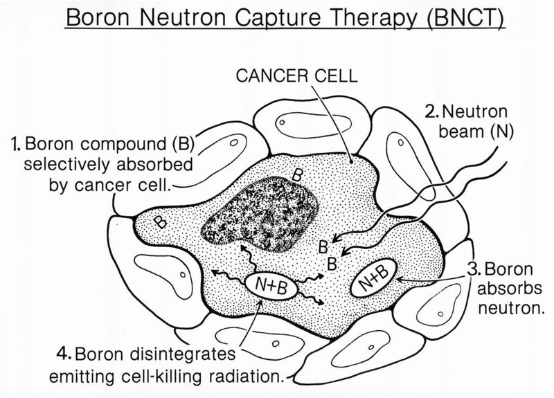 File:Boron neutron capture therapy (bnct) illustration.jpg