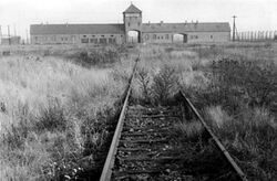 Bundesarchiv Bild 146-1992-101-026A, KZ Auschwitz, Einfahrt.jpg