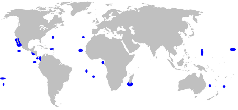 File:Carcharhinus galapagensis distmap.png