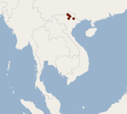 Distribution of Aselliscus dongbacana.png