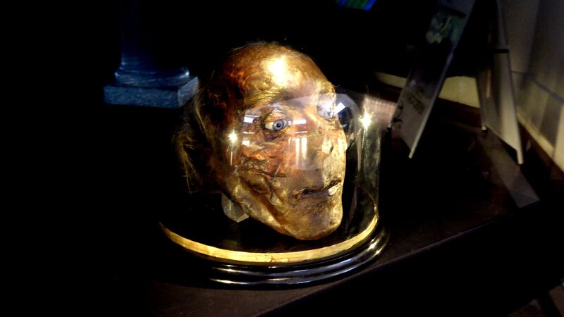 File:Jeremy Bentham's Severed Head.JPG