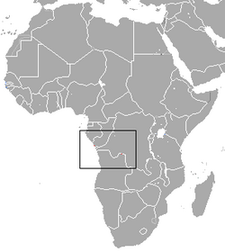 Lesser Angolan Epauletted Fruit Bat area.png