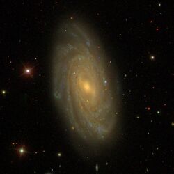 NGC3953 - SDSS DR14 (panorama).jpg