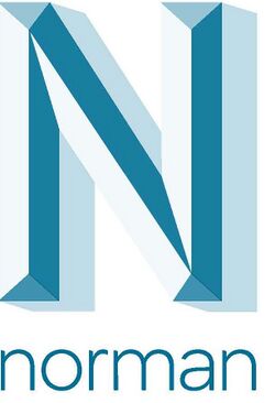 Norman Safeground blue logo.jpg