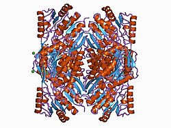 PDB 1bi9 EBI.jpg