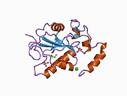 PDB 1cws EBI.jpg