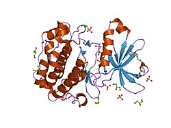 PDB 1h1w EBI.jpg