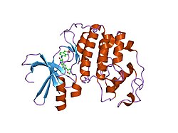 PDB 1ke7 EBI.jpg