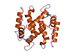 PDB 1kso EBI.jpg