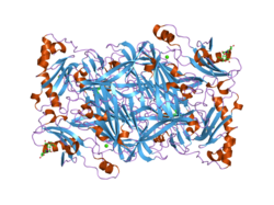 PDB 1pu4 EBI.png