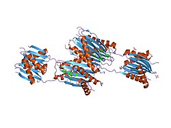 PDB 2pg1 EBI.jpg