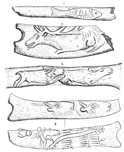 File:PSM V44 D647 Delineations on pieces of antler.jpg