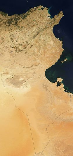 Satellite image of Tunisia in August 2001.jpg