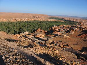 Long belt of trees, with small city at its edge