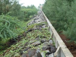 Wall in kalpakkam.JPG