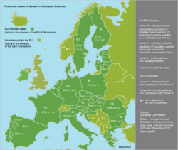 Wolf - protection status in Europe 1.png
