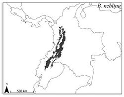 ZooKeys-distribution of B. neblina.jpg