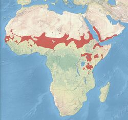 African Silverbill Distribution.jpg