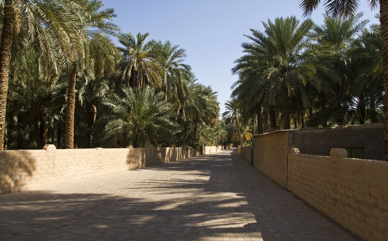 File:Al Ain Oasis, Al Mutawaa - Abu Dhabi - United Arab Emirates - panoramio.jpg
