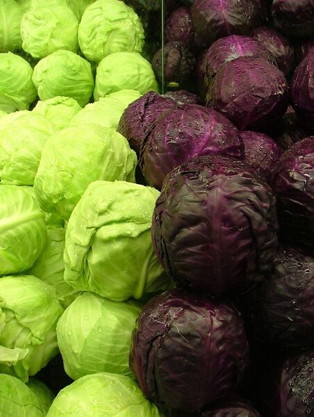 File:Cabbages Green and Purple 2120px.jpg