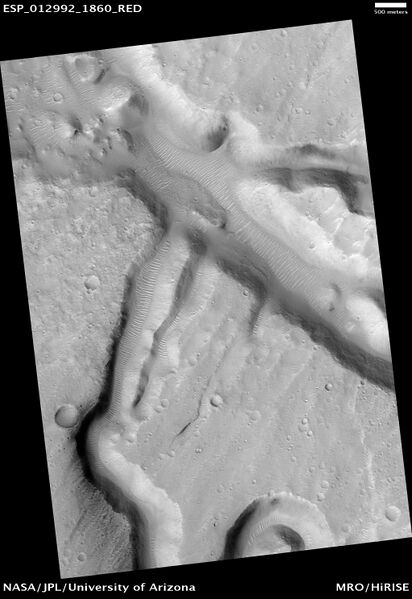 File:Channels in Ares Vallis Region.jpg