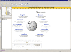 Coffee Cup HTML Editor 2007.GIF