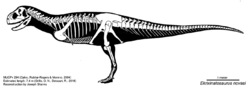 Ekrixinatosaurus novasi skeletal diagram.png