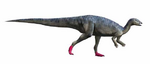 Elrhazosaurus NT.png