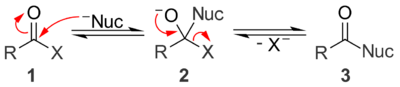 A general mechanism for base catalyzed nucleophilic acyl substitution