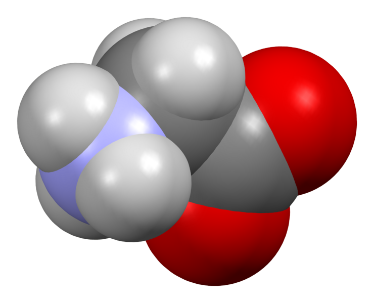 File:Glycine-zwitterion-from-xtal-3D-sf.png