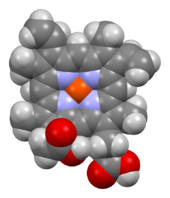 Space-filling model of the heme B complex
