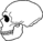 Neanderthalensis Skull.png