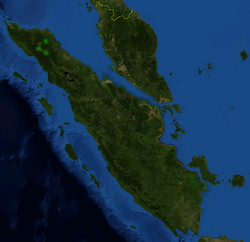 Nepenthes densiflora distribution.png