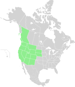 North America Range Libellula forensis.svg