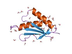 PDB 1tig EBI.jpg