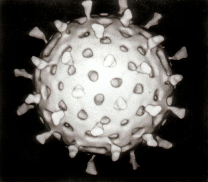 File:Rotavirus Reconstruction.jpg
