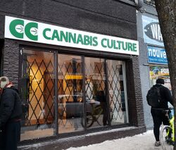 3804, Saint-Laurent, Montreal - Cannabis Culture shop.jpg