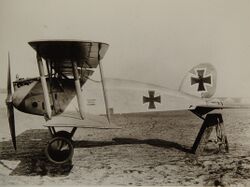 Albatros D.IX.jpg